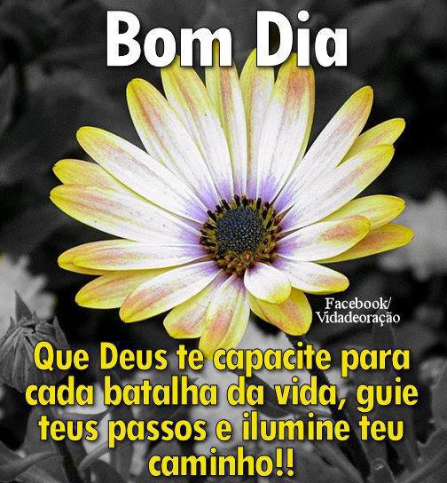 bom-dia1.jpg