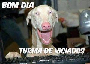 Bom dia, turma de viciados