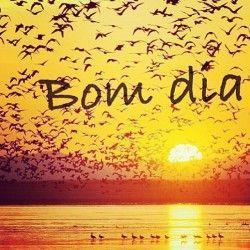 Bom dia