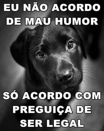 Eu não acordo de mau humor