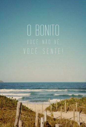 O bonito você não vê