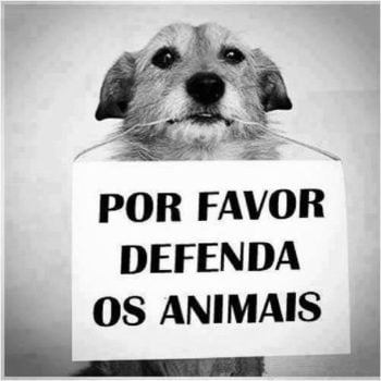 Defenda os animais