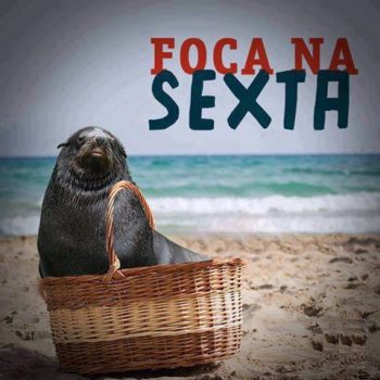 Foca na sexta