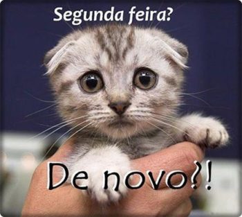 De novo?!