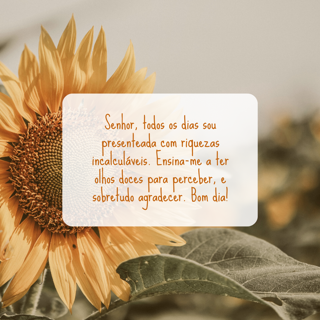 Senhor, todos os dias sou presenteada com riquezas incalculáveis. Ensina-me a ter olhos doces para perceber, e sobretudo agradecer. Bom dia! Senhor, todos os dias sou presenteada com riquezas incalculáveis. Ensina-me a ter olhos doces para perceber, e sobretudo agradecer. Bom dia!