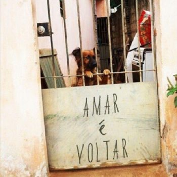 Amar é voltar