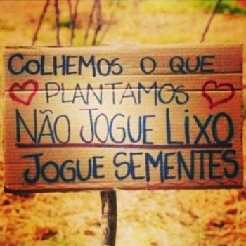 Colhemos o que plantamos