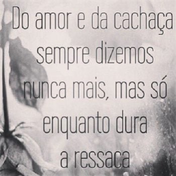 Do amor e da cachaça