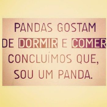 Pandas gostam de dormir e comer