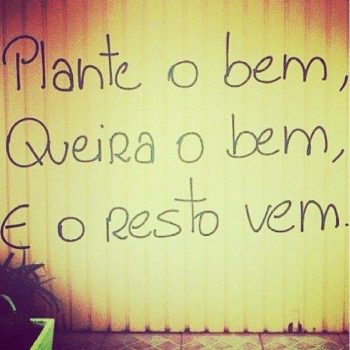 Plante o bem