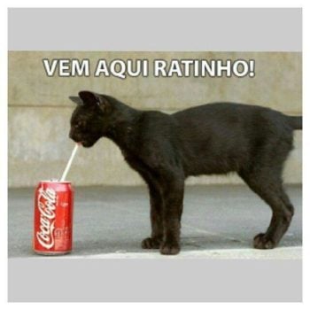 Vem aqui ratinho