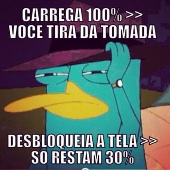 Carrega 100%