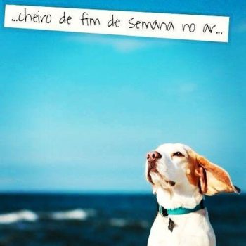Já sinto o cheiro…