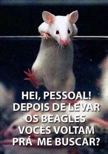 Hei, pessoal