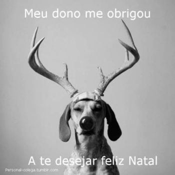 Feliz Natal amigo