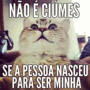 Ciúmes? Não…