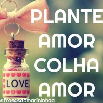 Plante amor