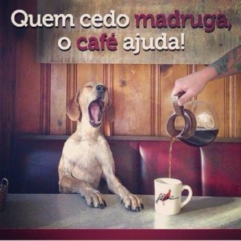 Quem cedo madruga