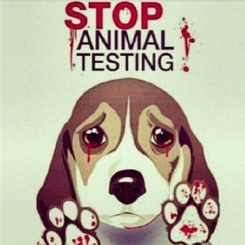 Stop animal testing