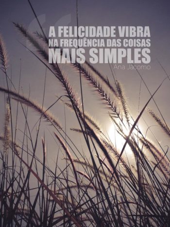 A felicidade vibra