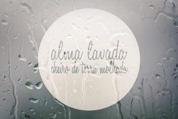 Alma lavada