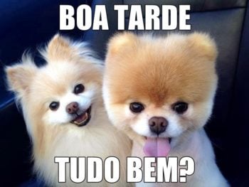 Boa tarde engraçado