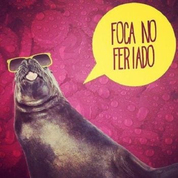 Foca