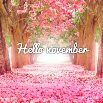 Hello November