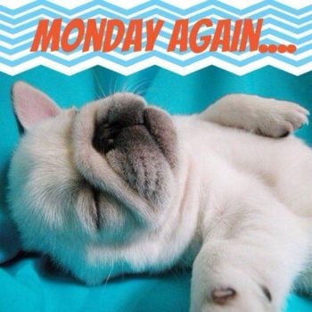 Monday again