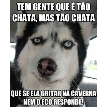 Tem gente que é tão chata