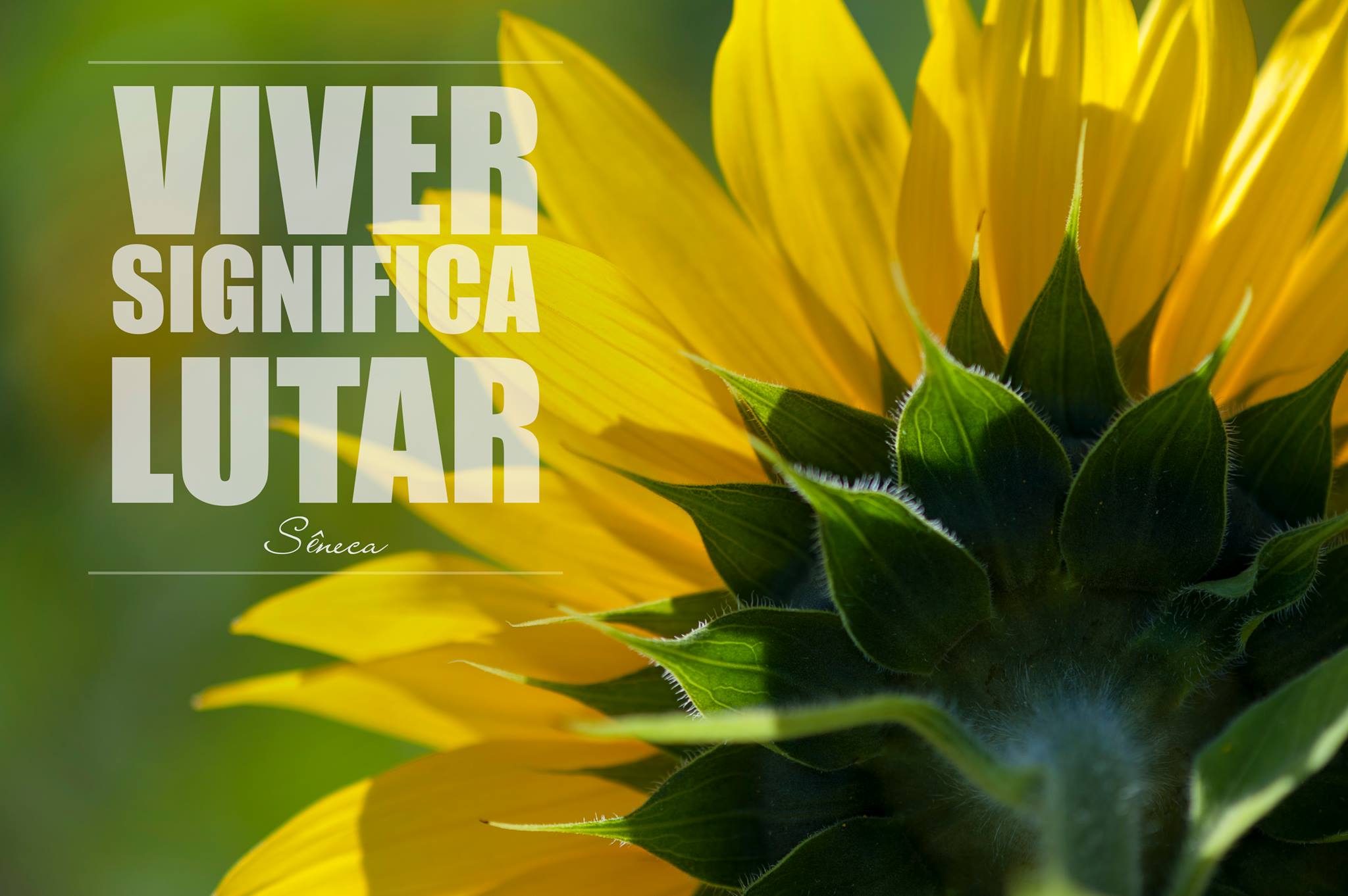 Viver significa lutar. (Sêneca)