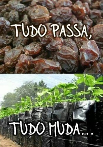 Tudo passa, tudo muda