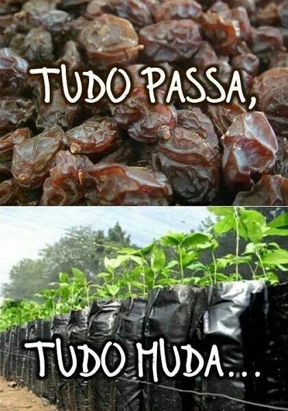 tudo-passa.jpg