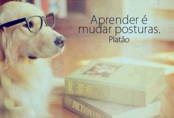 Aprender