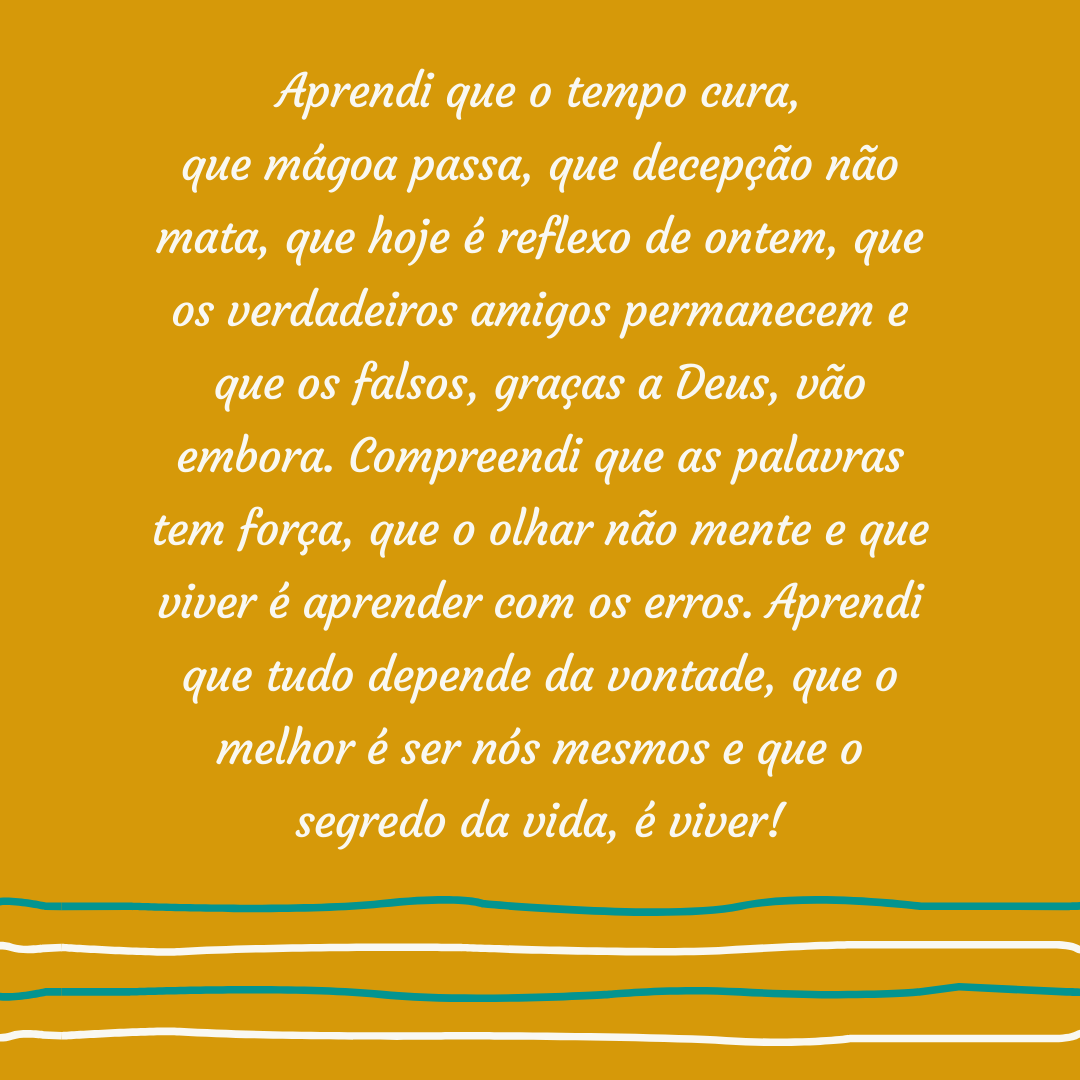 Aprendi que o tempo cura, que mágoa passa, que decepção não mata, que hoje é reflexo de ontem, que os verdadeiros amigos permanecem e que os falsos, Aprendi que o tempo cura, que mágoa passa, que decepção não mata, que hoje é reflexo de ontem, que os verdadeiros amigos permanecem e que os falsos,