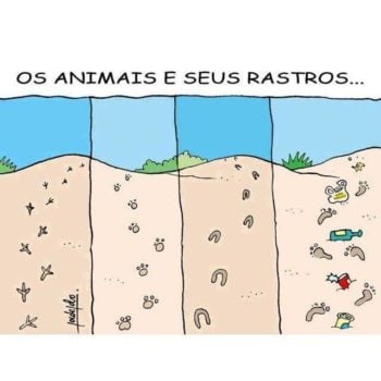 Animais e rastros