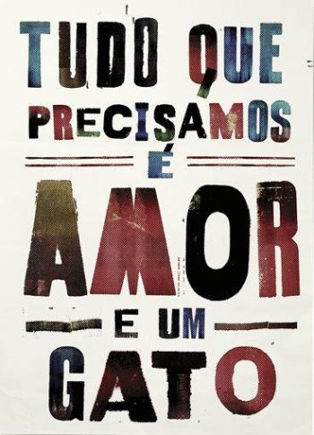 Amor e um gato