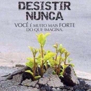 Desistir nunca