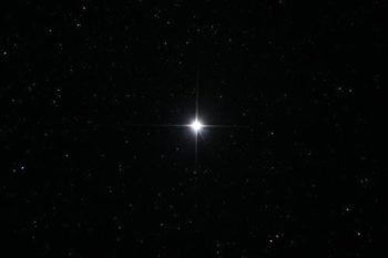 Estrela