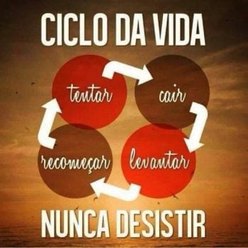 Ciclo da vida