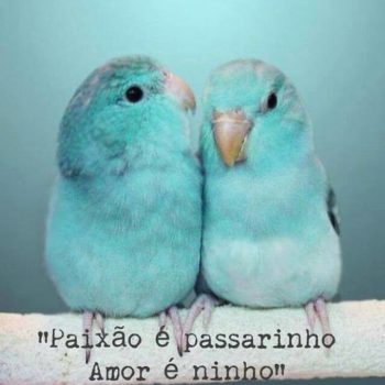 Amor e paixão