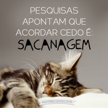 Sacanagem