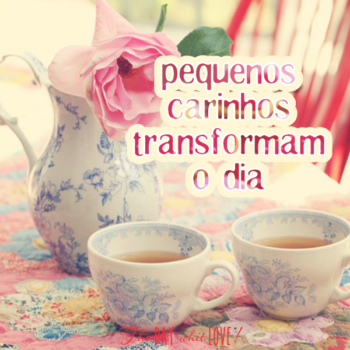 Pequenos carinhos