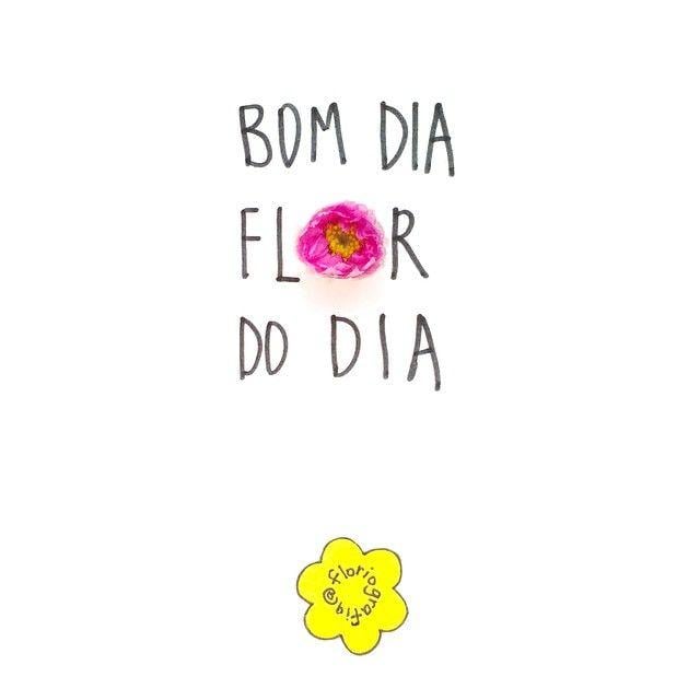 Bom Dia Flor Do Dia