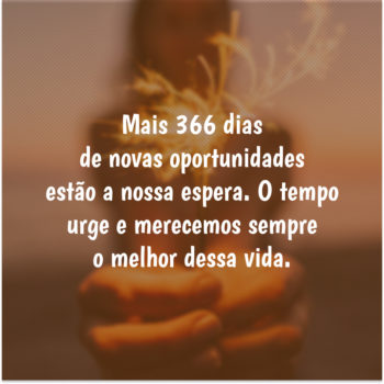 366 oportunidades