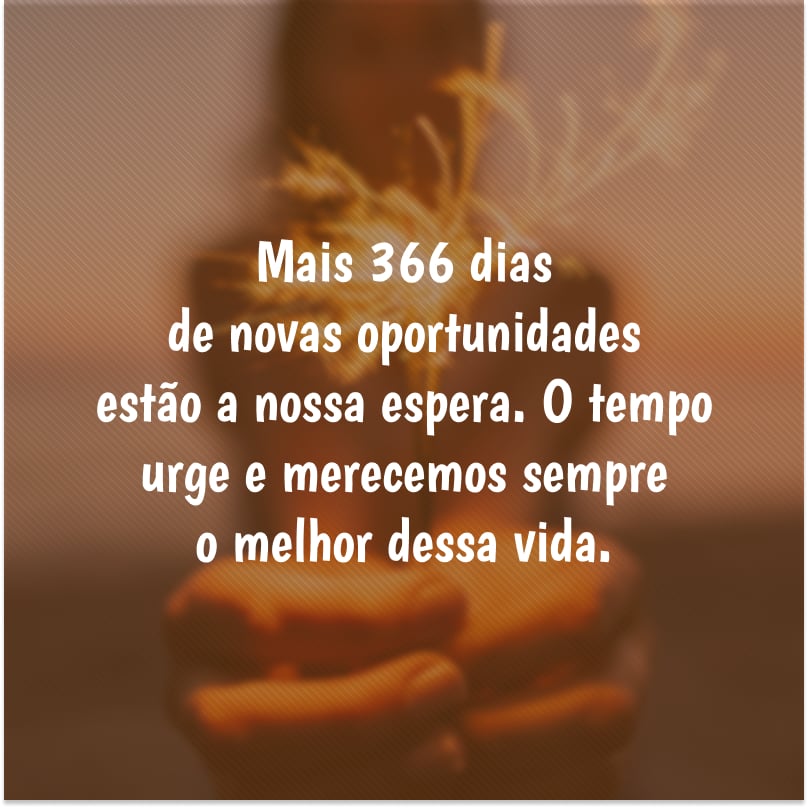 366 oportunidades