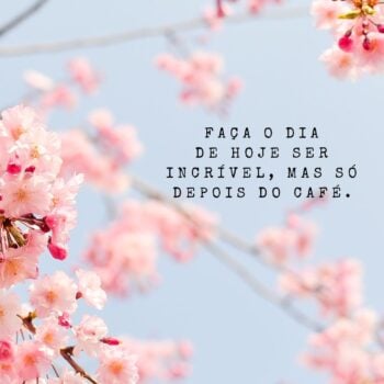 Dica do dia