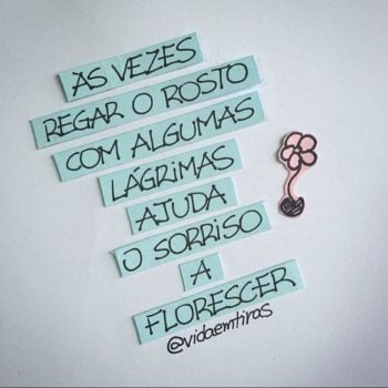 Flor do sorriso