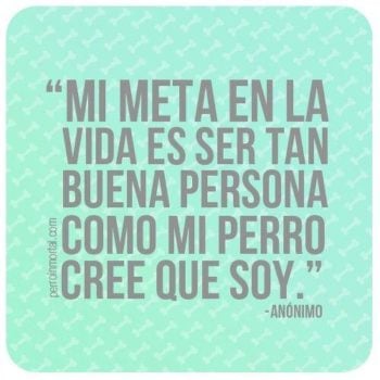 Meta en la vida