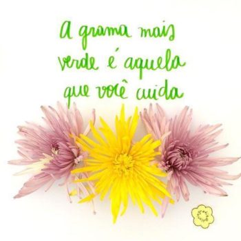 A grama mais verde